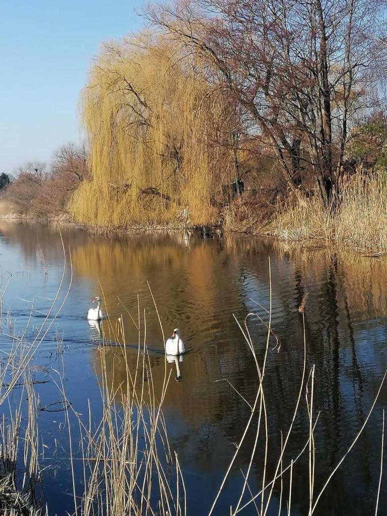 *Dana Pokoje Goscinne Gdańsk Exteriör bild